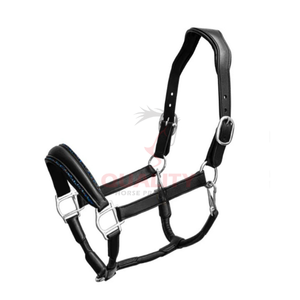 Bride et licou de style anglais de qualité équestre en cuir solide parfait pour l'équitation en plein air et tous les jours - Product Image 4