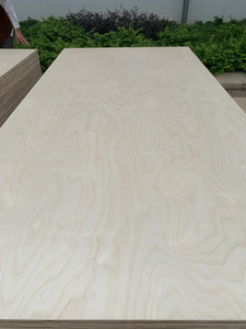 CARB P2 Pegamento E0 Chapa de madera de abedul natural Tablones de madera contrachapada comercial Tableros sólidos de madera dura de 5-30mm de espesor - Product Image 2