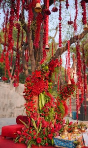 Guirnalda de campana de flor de caléndula Artificial cuerdas boda india Diwali Holi Lohri decoración de fiesta temática Festival decoración del hogar - Product Image 2