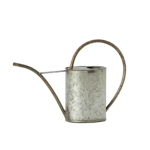 Trending Natural Watering Can Flower Pot Used For Indoor And Outdoor High Quality Iron Galvanized Material Used Leakage Proof Ok