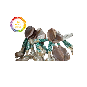 Elegante cuchara de concha hecha a mano Eco accesorio para caviar postre sal o exhibición de decoración del hogar - Product Image 1