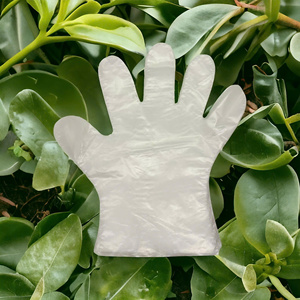 Gants de protection jetables en polyéthylène HDPE Greenworld en gros, certifiés CE, ultra-fins, personnalisables, pour usage estival - Product Image 5