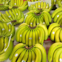 Premium Verse Cavendish Bananen Van Hoge Kwaliteit Boerderij Geteeld, Groothandel Voor Exportmarkten