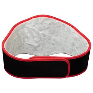 เข็มขัดแชมป์มวยแบบกำหนดเอง โลโก้สั่งทำ แผ่นโลหะ สายหนัง เข็มขัดแชมป์มวยระดับนานาชาติ ขนาดผู้ใหญ่ - Product Image 2