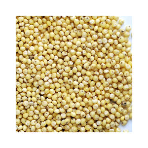 ลูกเดือยอบแห้งธัญพืชพืชสำหรับให้อาหารนกใหม่ล่าสุด - Product Image 1