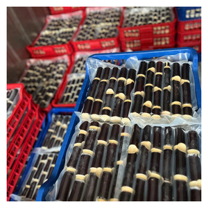 Dulce y refrescante caña de azúcar congelada de Vietnam con aroma fresco, jugosa caña de azúcar congelada lista para batidos, bebidas, Exportación - Product Image 2