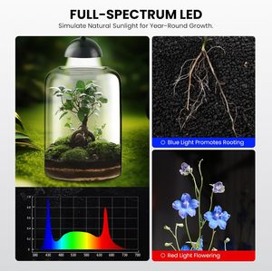 Terrarium en verre pour plantes avec ventilation LED, grand terrarium pour plantes avec ventilation pour plantes succulentes, 8,7 pouces de haut, décoration d'intérieur - Product Image 6