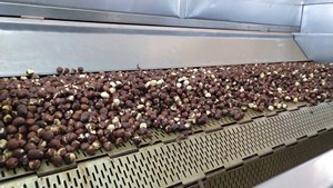 Máquina tostadora de nueces de acero inoxidable 304, máquina automática de alta capacidad para asar nueces de cacahuete y avellanas - Product Image 3