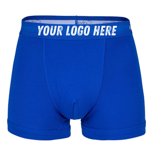 Direct Factory Supply Men's <b>Custom</b> Logo <b>Boxer</b> Briefs ODM Wholesale Buyers Colorful Moisture-Wicking Breathable Low MOQ - Product Image 4