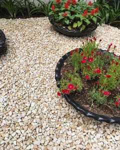 Refined Yellow Tumbled Marble <b>Pebbles</b> Ideal for Sophisticated Landscaping, Exterior Gardens & Decorative Villa Projects - Product Image 5