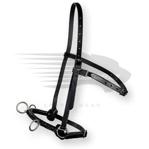 2023 équipement équestre produits d'équitation bride à mors bride à cheval faite avec du cuir de peau de vache - Product Image 2