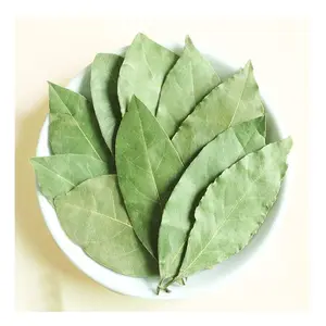 Fornitore di spezie all'ingrosso di alta qualità nuovo raccolto migliori foglie di alloro 100% spezie naturali foglie di alloro condimento in vendita