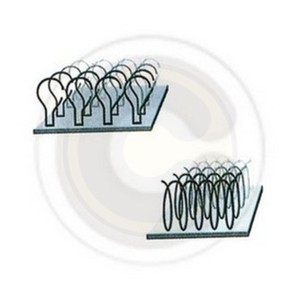 เทปตีนตุ๊กแกสีขาวแบบม้วน DG - Product Image 1