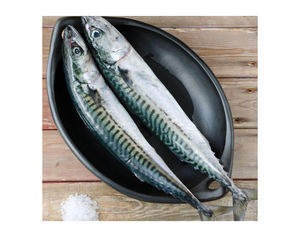 Oferta del Fabricante: Bloque de Materia Prima de Pescado Atún Congelado del Pacífico, Blanco y Azul, 200-250g, en Stock, de Buena Calidad - Product Image 3