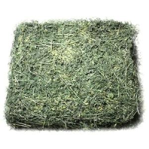 Heno de Alfalfa Seco 100% Natural a la Venta, Pacas de Heno de Alfalfa Disponibles para Alimentación de Ganado, Exportación Mundial Lista para Envío - Product Image 6