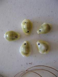 Coquillages de mer coquille de cauri coloré quantité en vrac coquillages de cauri océaniques en gros pour la fabrication artisanale - Product Image 2