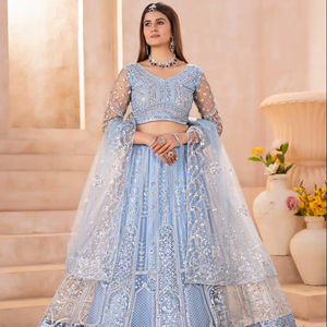 Lehenga Choli de Diseño Moderno y Atractivo con Red de Mariposas, Silueta Imperio hasta el Suelo, con Bordado, Ecológico - Product Image 1