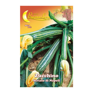 Zucchino Striato Semi-Orto di Napoli - Product Image 1