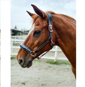 สายรัดคอหนังสีดำและโรสโกลด์ ยี่ห้อ JOYA รุ่น Smart จากอุตตาร์ปราดีป - Product Image 1