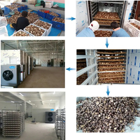 Machine de déshydratation du miel et sécheuse de concombres de dernière technologie