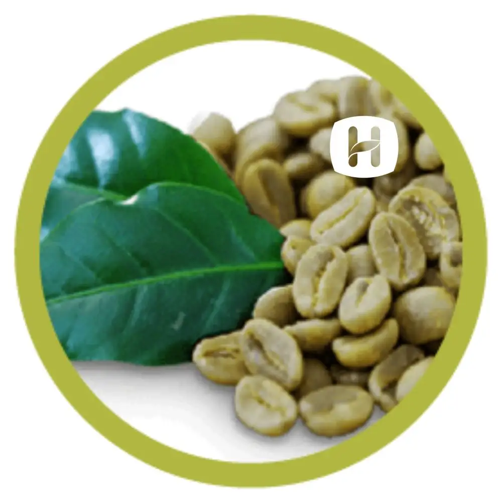 VIETNAM ROBUSTA COFFEE GREEN BEANS新しい作物卸売高品質良いソース低価格トップ工場HANFIMEX 0084374074818