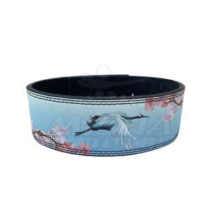 Protector Weightlifting Lever Belt Weight Lifting Belt High Quality <b>Gym</b> Fitness <b>Body</b> Building Adjustable - Product Image 1