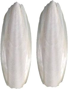 HUESO DE SEPIA SECA ASEQUIBLE DISPONIBLE/HUESO DE SEPIA CON ALTO CALCIO A LA VENTA/COMPRE HUESO DE SEPIA A PRECIO BARATO - Product Image 5