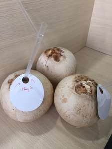 Tasty Vietnam fresh young coconut for making coconut <b>jelly</b> preparing unique culinary dishes - Product Image 4