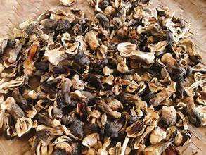 SETA DE TERMITAS SETAS SEDA DE ALTA CALIDAD ETIQUETA LIMPIAR INGREDIENTE NATURAL DE APOYO INMUNE - Product Image 3