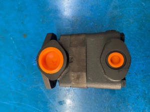 Bomba Hidráulica de Paletas Serie V10 V20 V20-1P V20-8P V20-9P V20-11P V20-12P V20-13P V20-1P11P-1C-11R V20F-1P1.3P-038C-8H-22 - Product Image 6