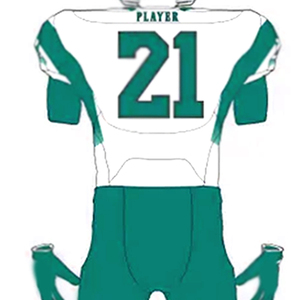 Equipo deportivo Entrenamiento Logotipo personalizado Nombre Número Ropa al aire libre Uniforme Conjunto Fútbol americano Tops Fútbol americano Jersey - Product Image 6