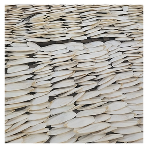 Hueso de sepia natural 100% para pájaros y reptiles, textura limpia, secado al sol, inodoro, disponible en varios tamaños para exportación - Product Image 3