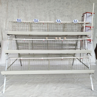 Cages automatiques de haute qualité pour poules pondeuses, élevage avicole, à vendre au Sénégal