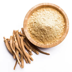 Glee Impex Polvo de Ashwagandha Amarga Fresca, Extracto Herbal 100% Natural para Adultos - Suministro de Marca Privada para Mercados Globales - Product Image 4