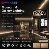 Bandes LED COB d'usine RAYMATES UL, 2700K 3000K 4000K 6500K, bande lumineuse COB flexible 8mm 24v