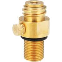 Bouteille de CO2 pour soda 0,6 L 425 g, réservoir de gaz rechargeable TR21x4 pour eau gazeuse 60 L