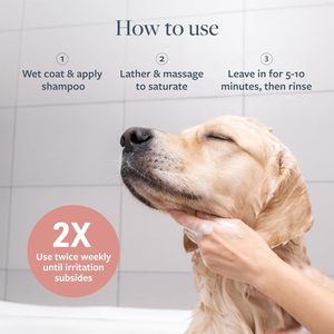 Medicinale Hondenshampoo Voor Immuunondersteuning En Jeukende Huidverlichtingsgist Infectie Hotspot & Droge Huid Anti-Jeuk Behandeling Graanvrij - Product Image 3