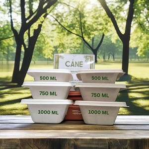 Conteneur alimentaire rectangulaire de luxe jetable en bagasse de canne à sucre, biodégradable, compostable, anti-fuite, écologique pour repas et déjeuners - Product Image 1