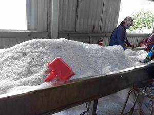 Copos de PET transparentes reciclados al por mayor, botella de agua triturada de lavado en caliente, copos de mascotas triturados de lavado en caliente (Sra. Xavia + 84333371330) - Product Image 5