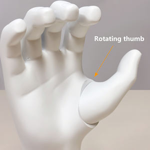 Белый Мужской Дисплей из стекловолокна с регулируемым большим пальцем | Прочная манекеновая форма для часов, перчаток, спортивной бутылки - Product Image 5