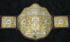 Cinturones de campeonato de lucha libre Trofeos Medallas y premios el símbolo definitivo de Victoria y excelencia Cinturones de Campeonato - Product Image 2
