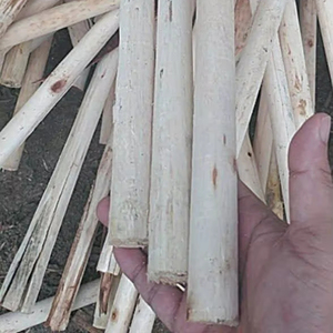 Gran cantidad de palos de madera redondos para la producción agrícola y la fabricación de muebles - Product Image 2