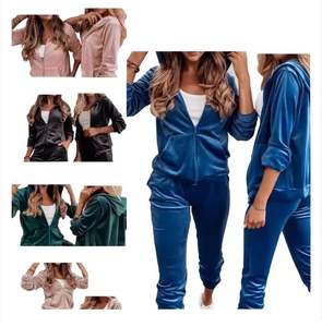 Hot <b>Sale</b> Embroidery Velour Tracksuit Two Piece Set Women Clothing Long Sleeves Zipper Sport Set All Color Velour Tracksuit Women - Product Image 6