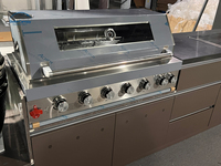 Ensemble de meubles de cuisine extérieurs modernes en acier inoxydable avec évier, robinet, portes vitrées à charnières pour appartement, barbecue et salle à manger