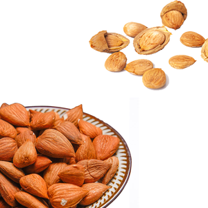 Apricot Kernel | ทำความสะอาดเรียงลำดับและส่งออกพร้อม - Product Image 6