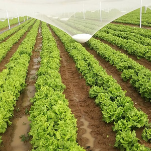 HDPE chống mưa đá Net cho vườn bảo vệ nông nghiệp sử dụng với tùy chỉnh cắt dịch vụ chế biến - Product Image 1