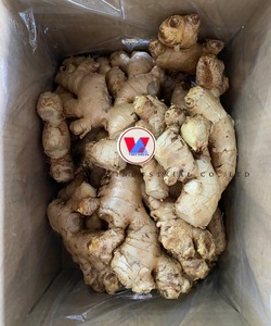 Gingembre séché de qualité export VDELTA en provenance du Vietnam |   Direct du fabricant - Product Image 2