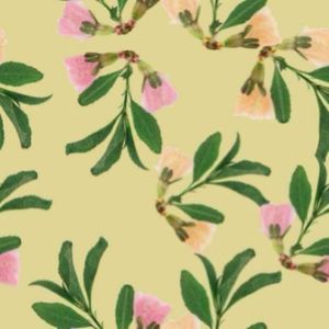 Vente en gros Couvre-chef mode réutilisable 100% coton Écharpe bandana carrée douce imprimée avec logo personnalisé Bandana quantité minimale de commande bas avec sérigraphie - Product Image 4