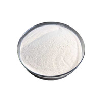 Haute qualité 99% poudre de malate de magnésium de qualité alimentaire fortifiant nutritif soutien énergétique agents aromatisants 25kg approvisionnement en vrac CAS