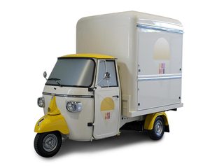TVS King Deluxe Plus Tricycle motorisé à trois roues fermé pour passagers, refroidissement par eau, freins à disque, à essence - Product Image 1